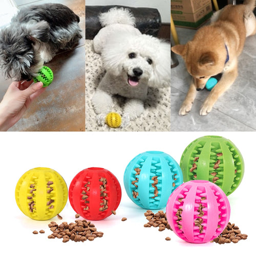 Interactive Dog Feeding Toy