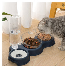 Load image into Gallery viewer, Cat Feeding and Drinking Set