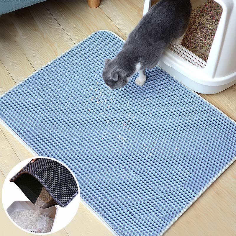 How to Get a Cat to Use a Litter Mat